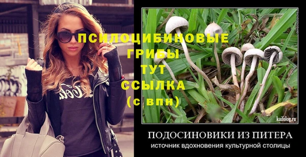 2c-b Алексин