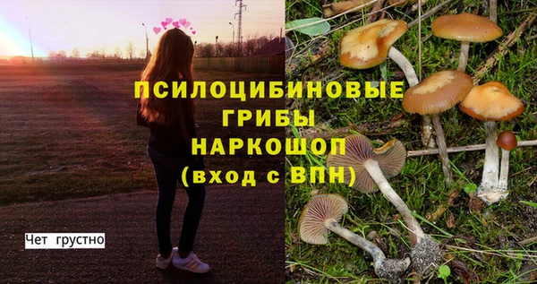 наркотики Алексеевка