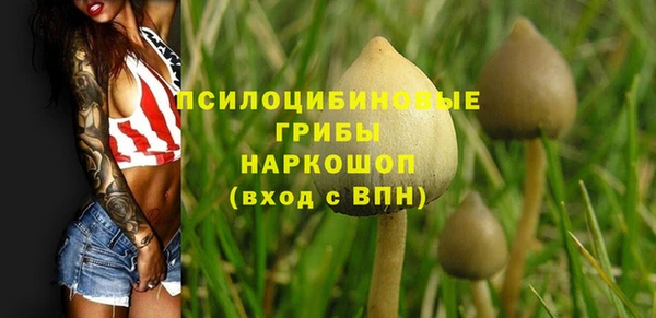 2c-b Алексин